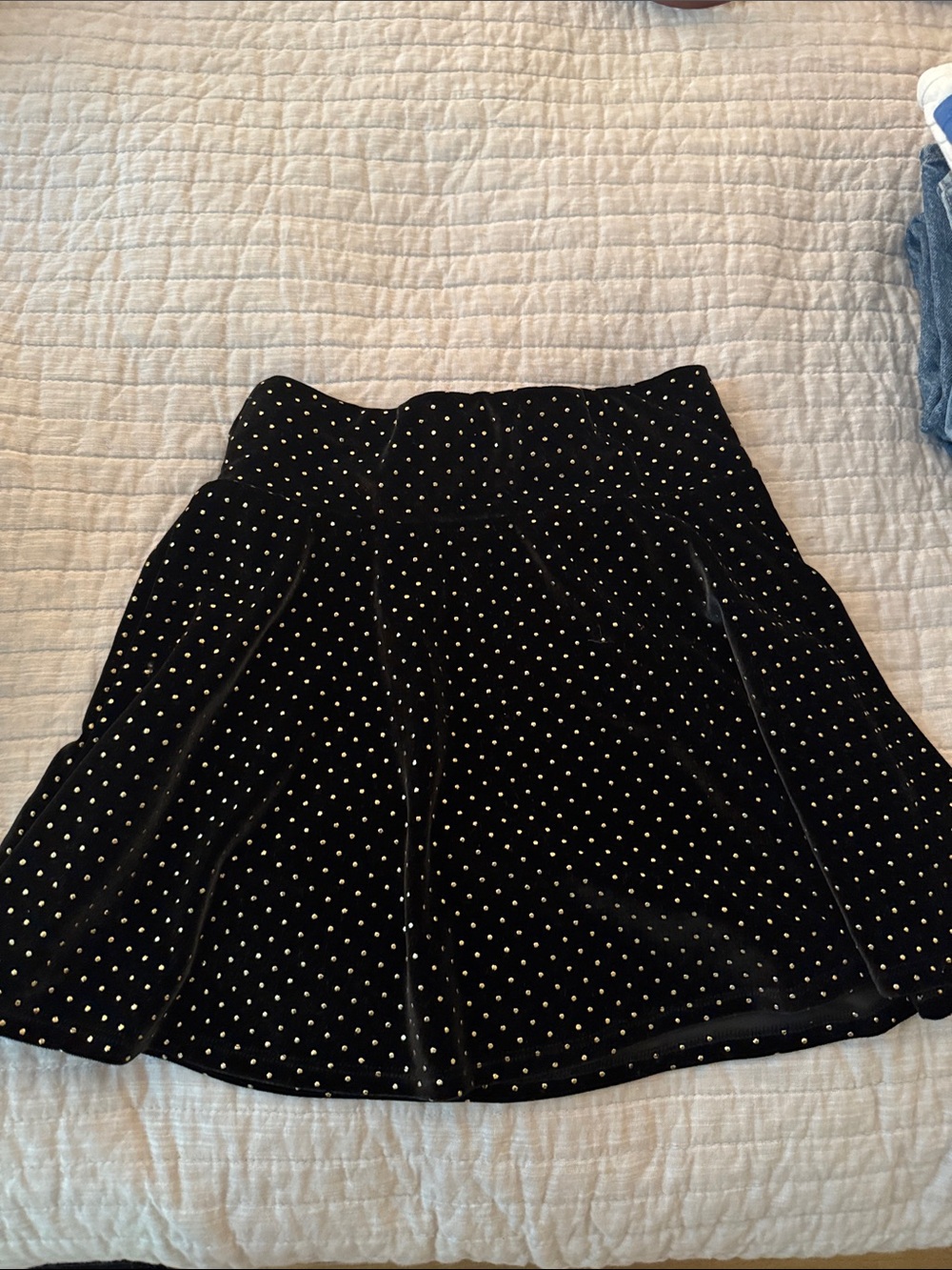 Black Velvet Skater Skirt with Gold Dot Accents